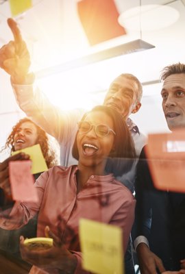 Team Ownership Freedom