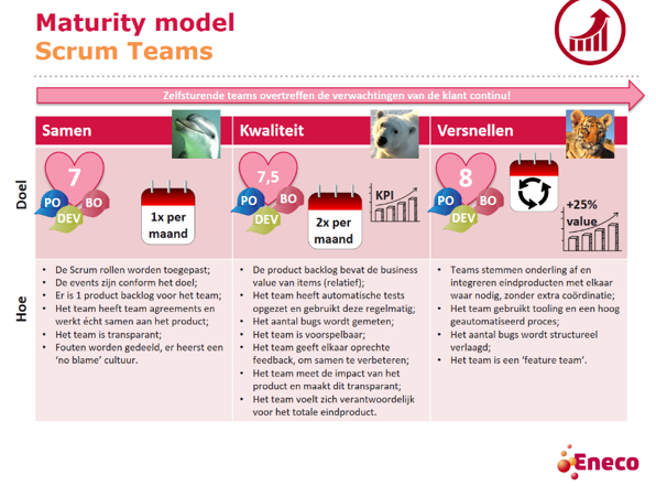 Ownership Model Eneco